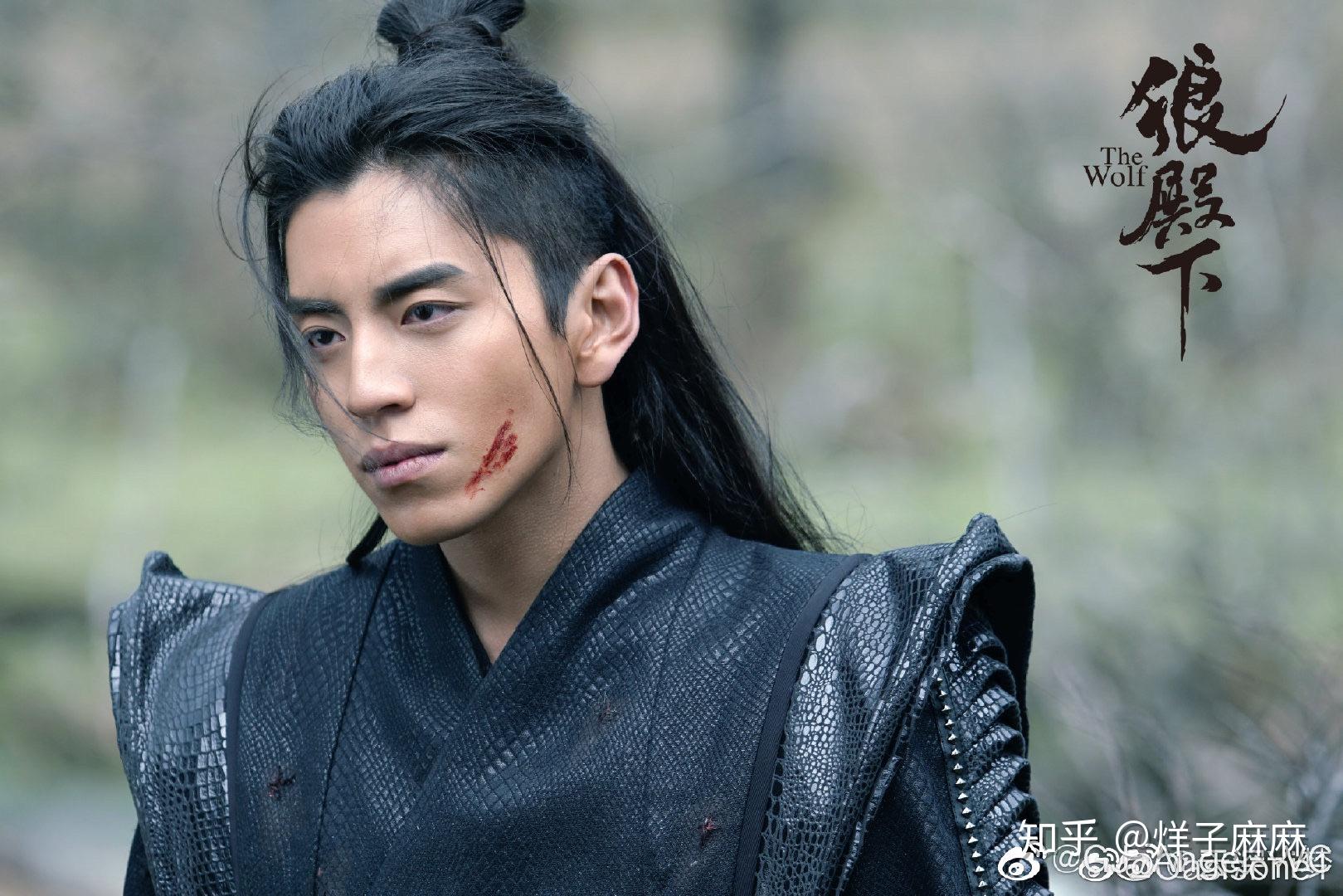 如何评价王大陆在电视剧狼殿下中的表现
