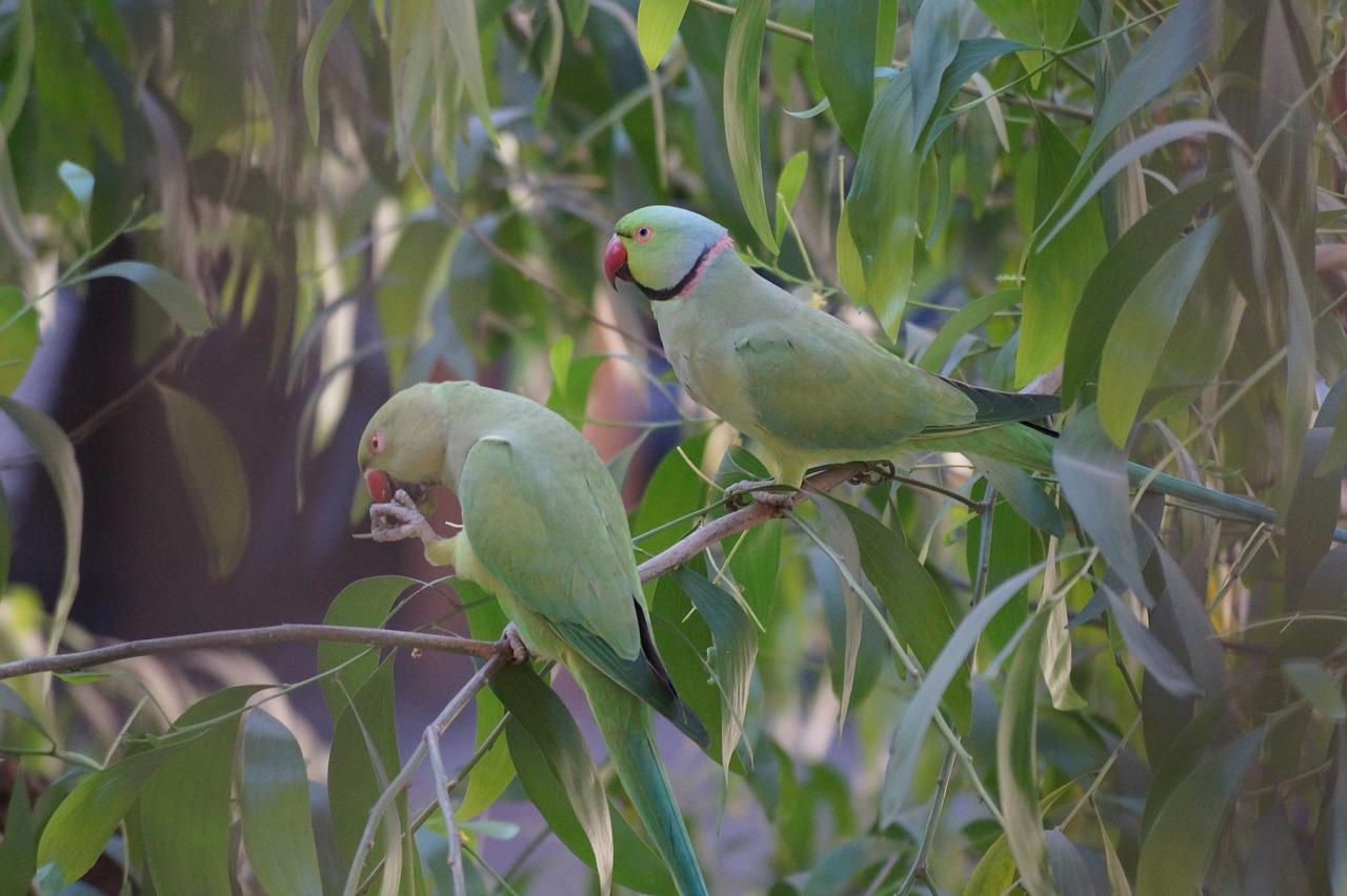 3. 日常清洁与消毒