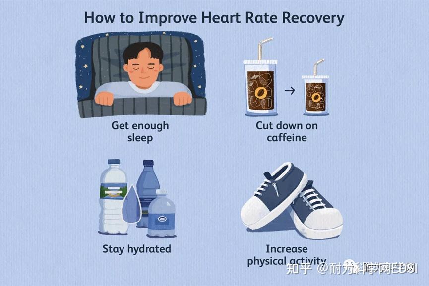 什么是恢复心率 知乎