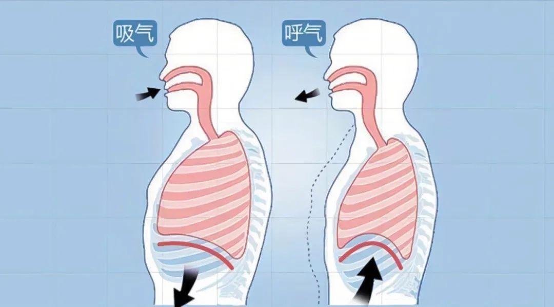 慢阻肺患者的呼吸康复呼吸肌的锻炼最为关键简单6个动作有效增强肌力