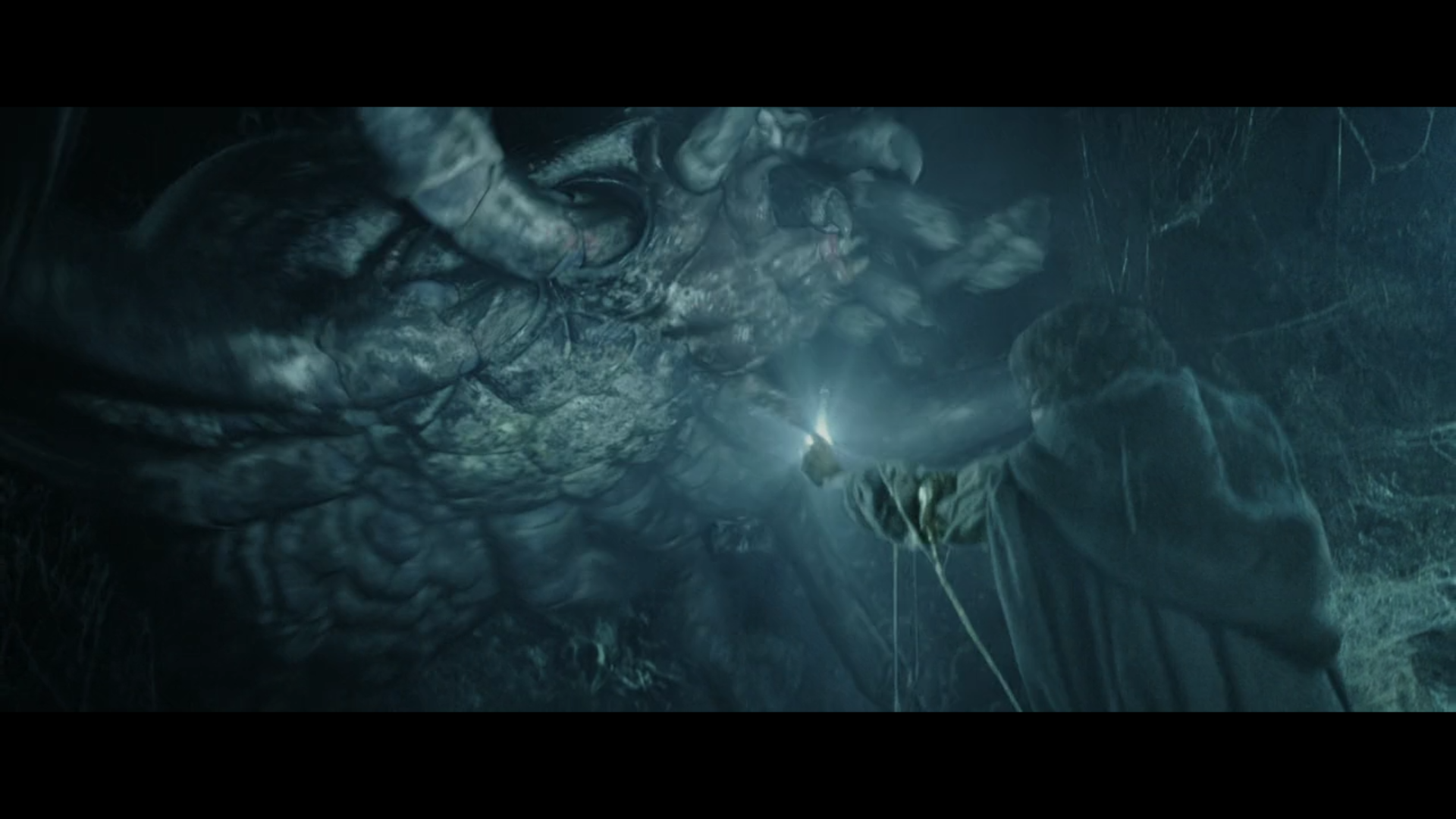 维塔:我建议你们改名为arda olds studio一种名叫大角