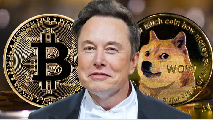马斯克突发重磅宣布贝莱德现货etf惊曝获得种子资金比特币狗狗币闻讯