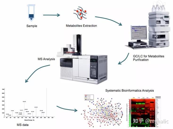 如何开展代谢组学实验（上篇） | 代谢组专题 - 知乎