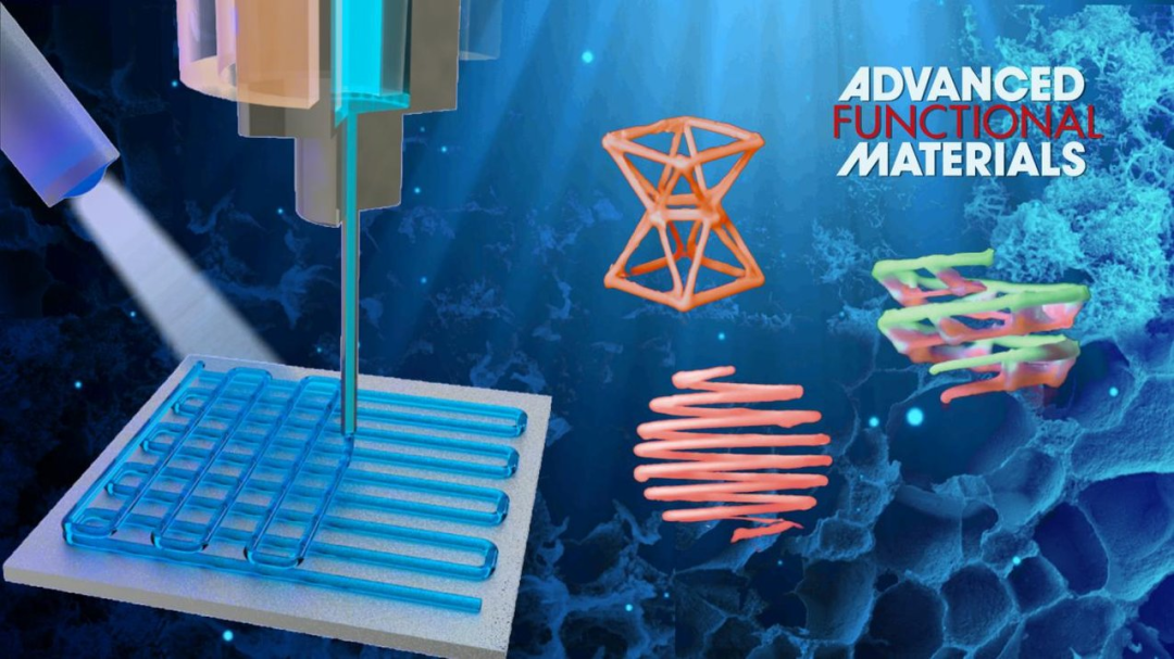 南科大团队首次实现具有极端力学行为水凝胶材料的3d打印或可用于骨