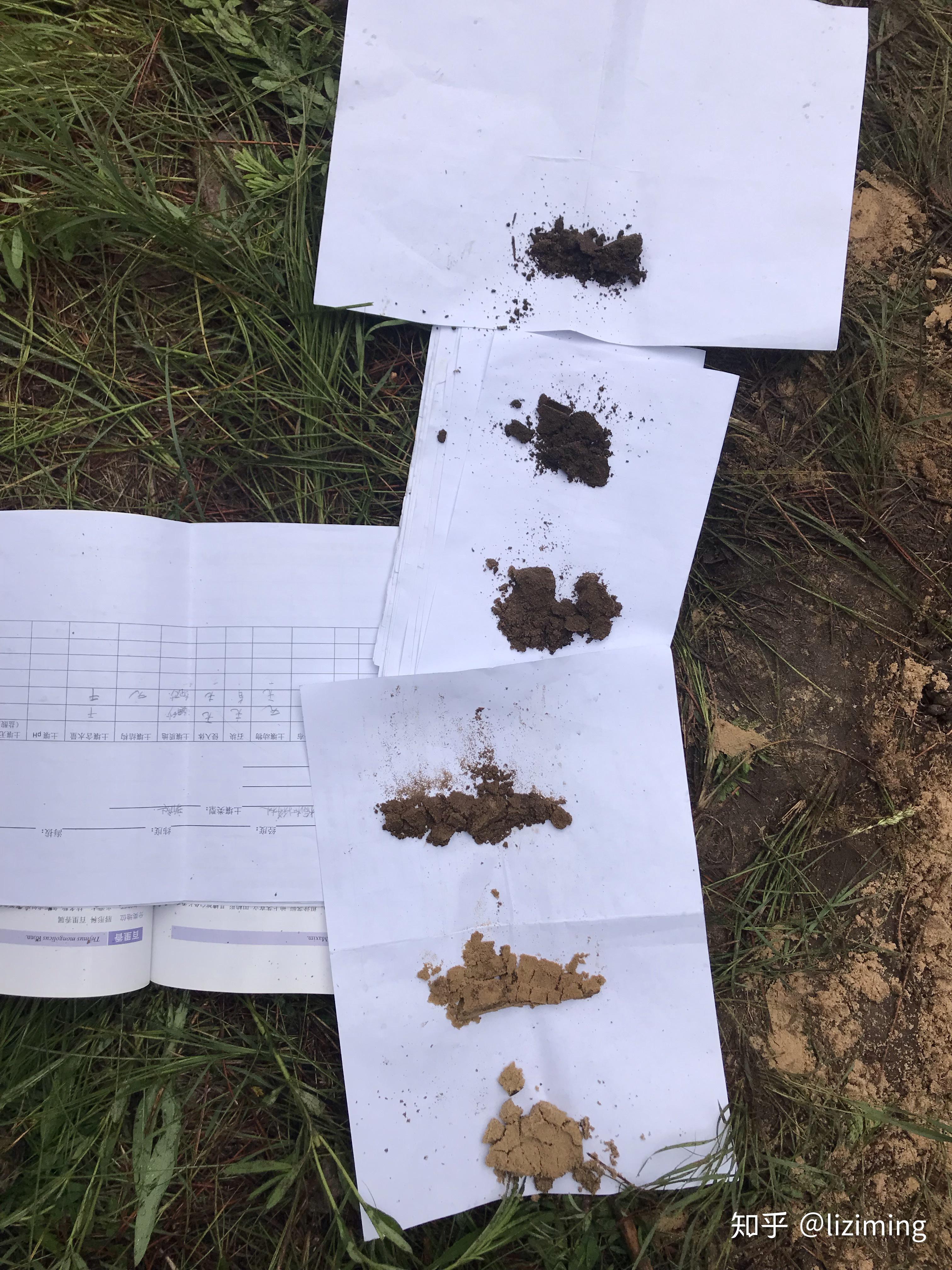 系列土壤形成发育主系列的重要组成部分,它包括的土纲有:灰土,淋溶土