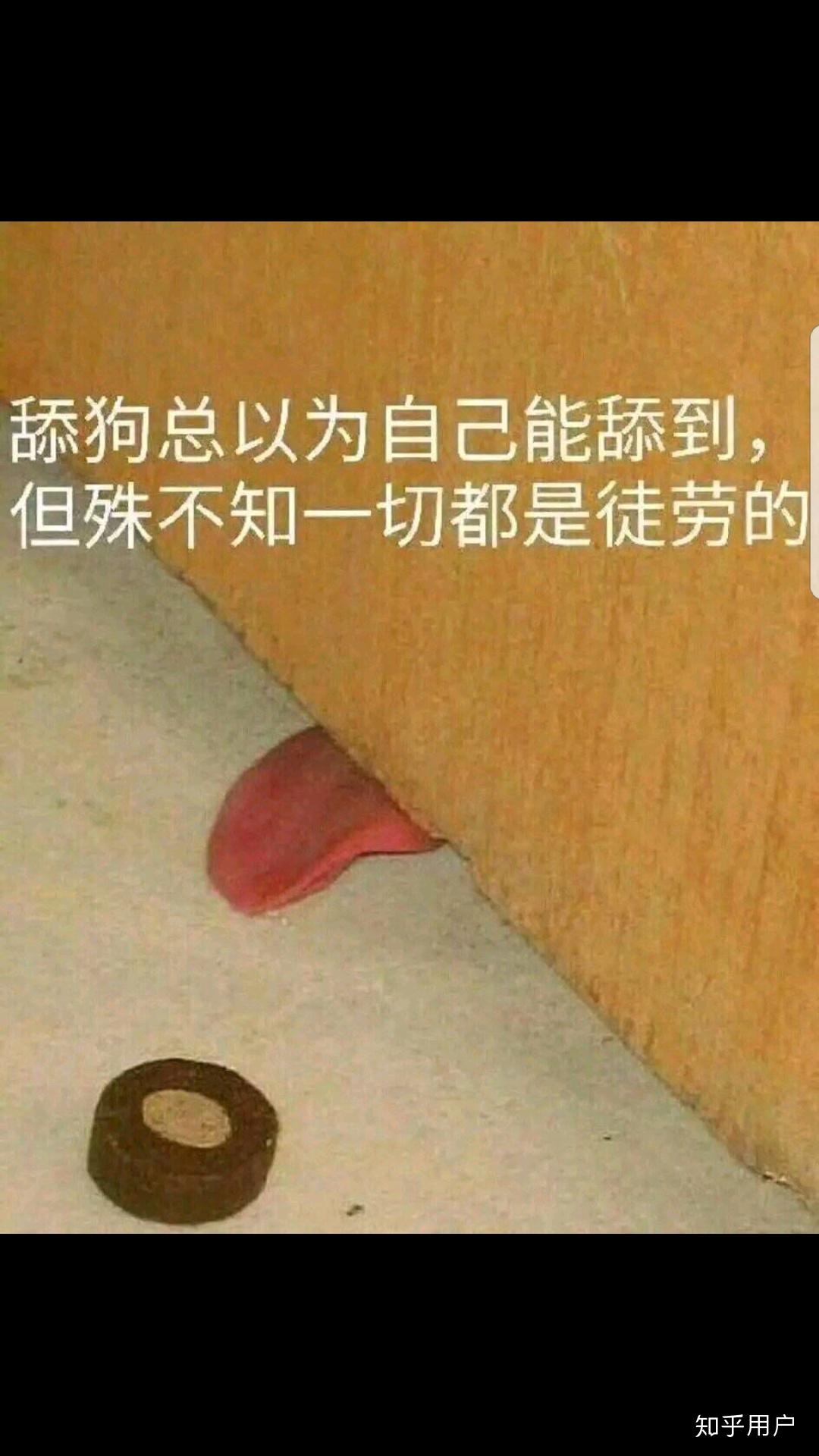 如何看待"舔狗舔到最后一无所有"? - 知乎