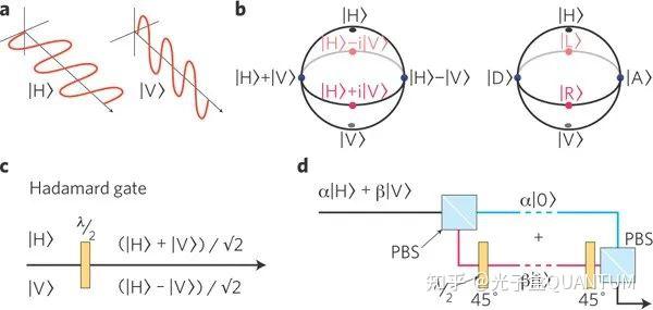 一文读懂光量子技术 - 知乎