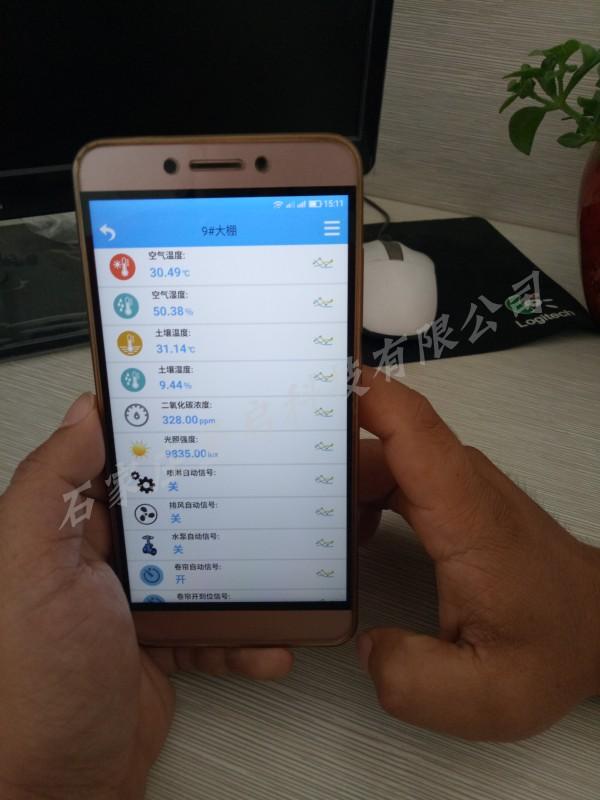 羽衣甘蓝身价何以涨近30倍？