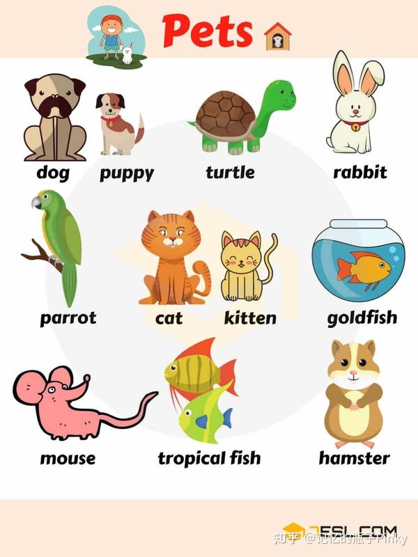 动物名称中英文对照 知道这些动物英文单词 从此给宝宝读英文绘本再也不用怕这些动物们了 知乎