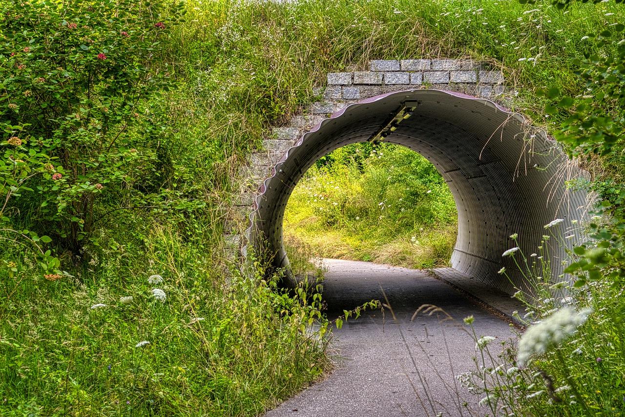 绿化覆盖率如何？