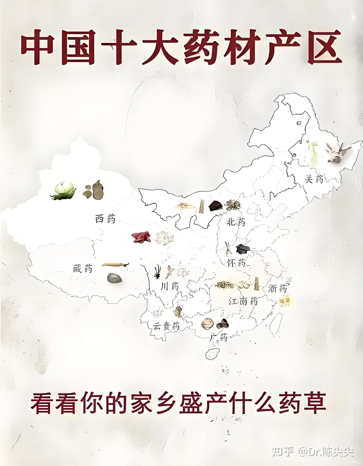 从古籍到基地的一次溯源，看懂「道地药材」养成记 - 知乎