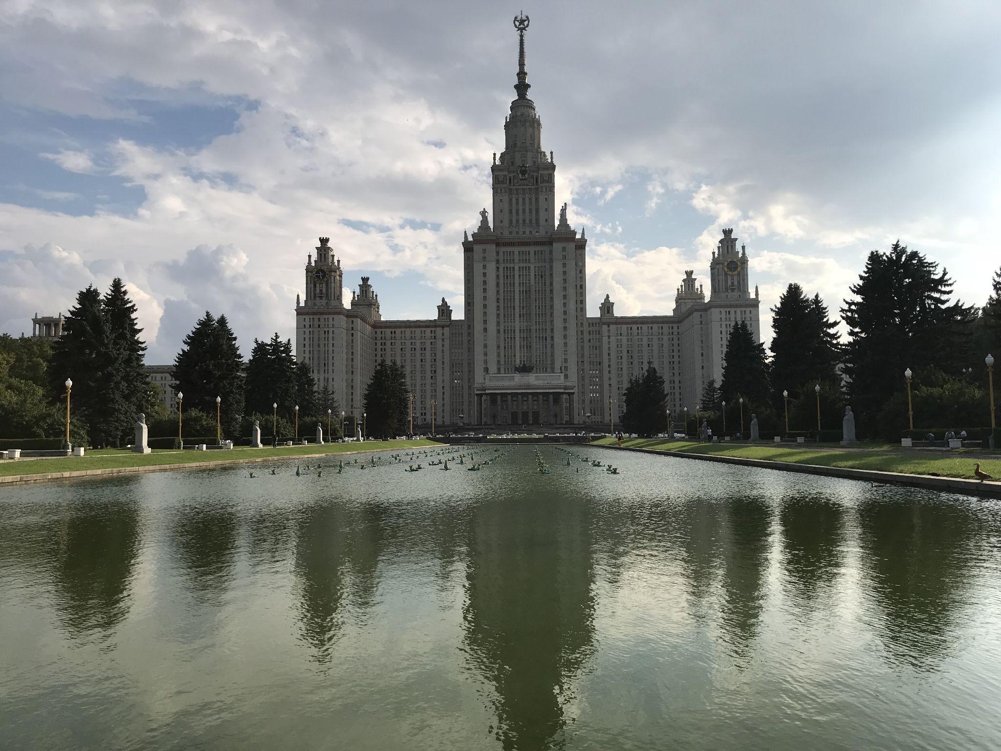 社会主义国家的审美特点是什么?