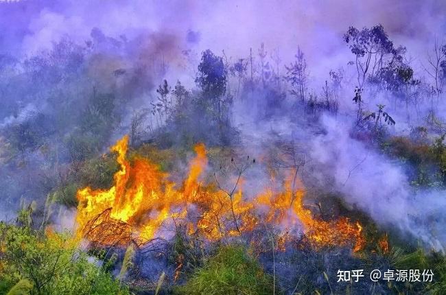 【物联网】山火频发,大规模山火咋扑救?科技助力防范森林火灾-卓源股份