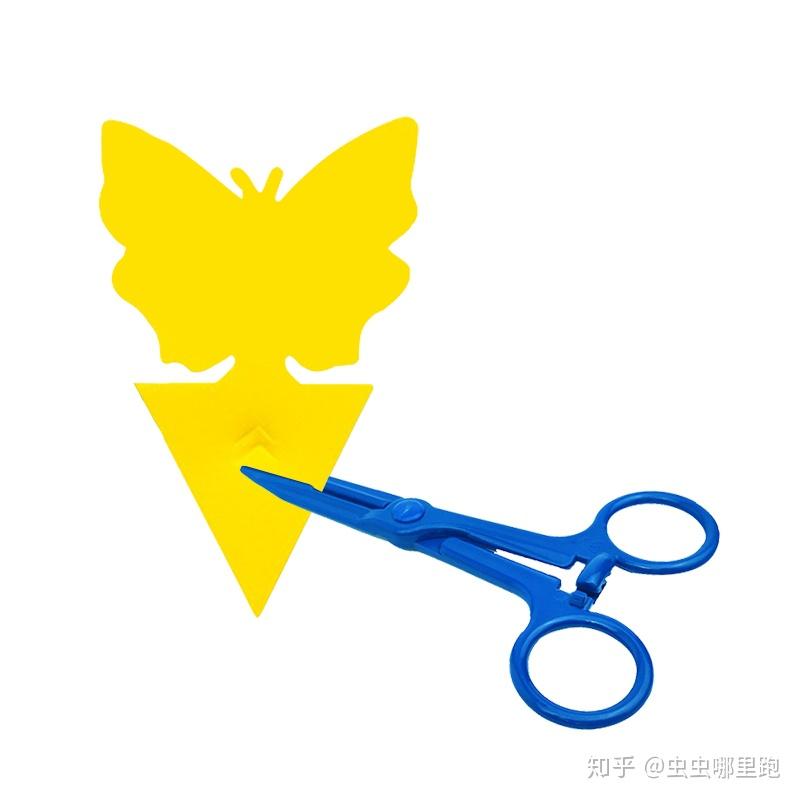 v2-bc07c2999c96a495cd05d722cec90f58_r.jpg