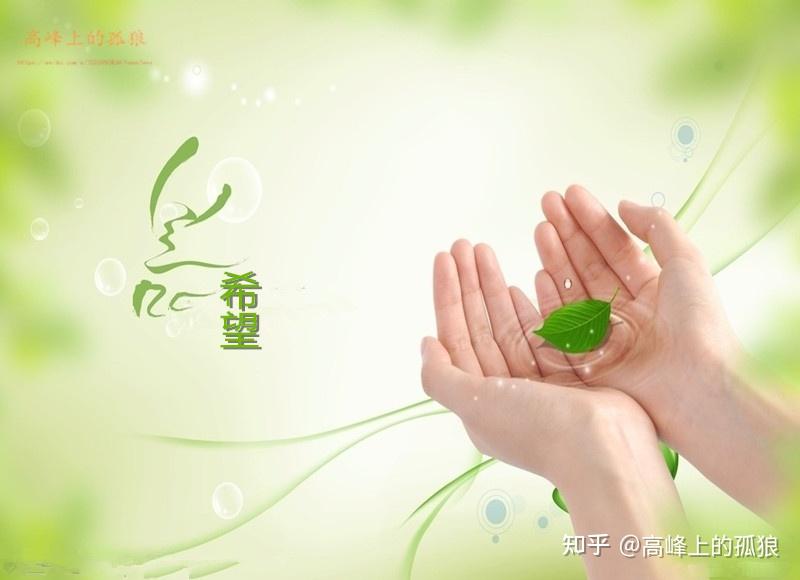 为什么大人总是喜欢把希望寄托给孩子. - 知乎