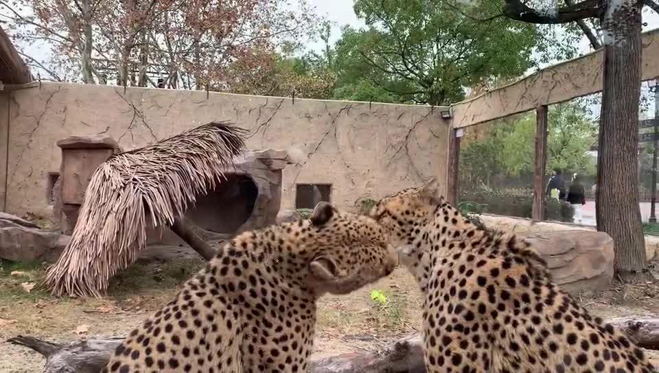 外出游玩随手拍