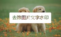 轻松去除图片上的文字水印 知乎 轻松去除图片上的文字水印 知乎