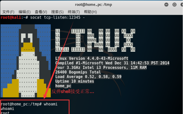 经验分享 | 常用linux反弹shell合集 - 知乎