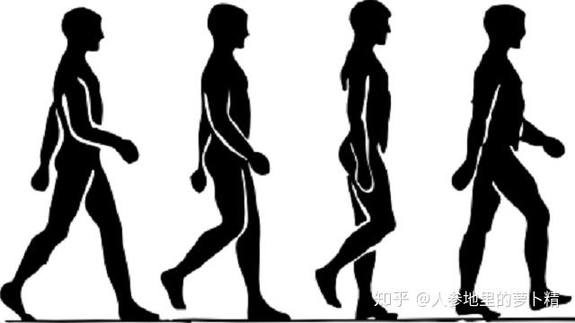 v2-bc2a1eebf88934ffc0bf6c1558649f48_r.jpg