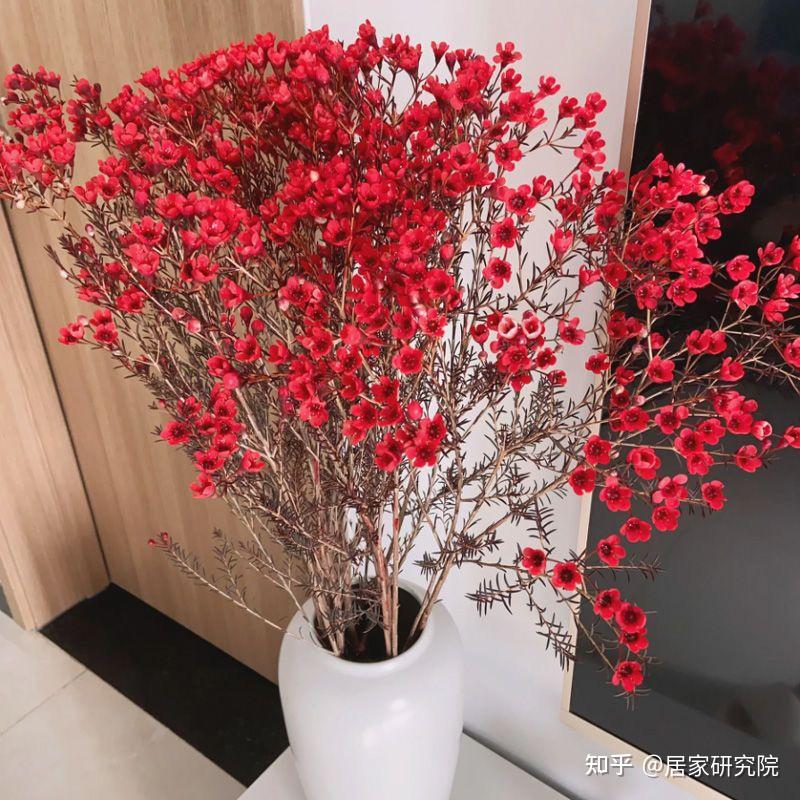 新年布置只会买对联?8个“花小钱办大事”的家居小物,把年味儿拉满!2025年新年布置指南! - 知乎