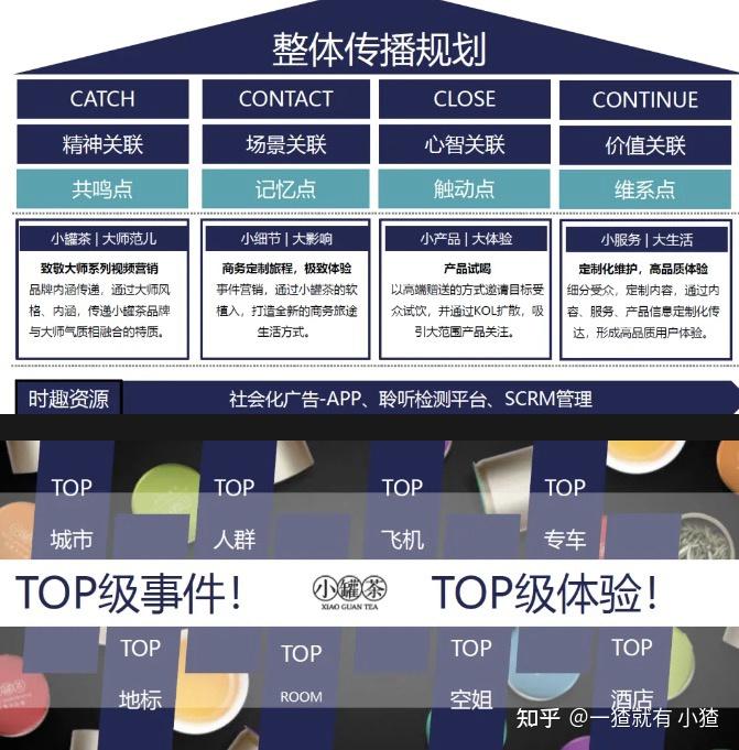 2024年最新茶叶品牌全景洞察暨营销策划全案研究专题资料合集 - 知乎