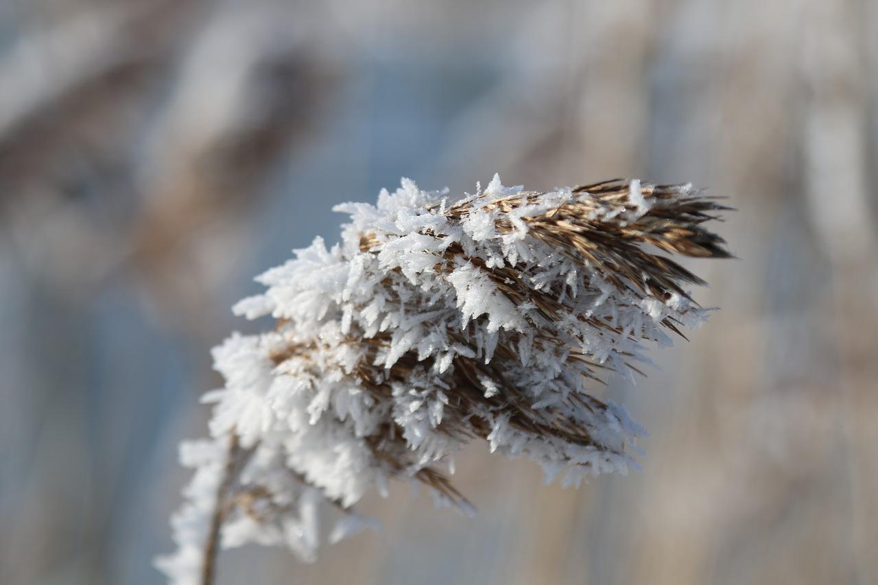 2. 湿度调整方法
