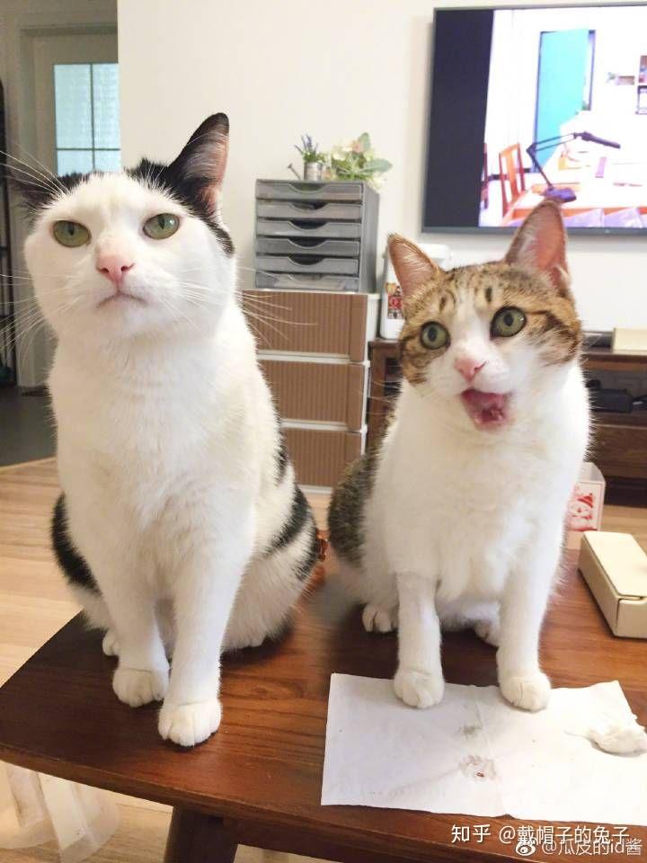 女生应该如何处理自己的唇毛(小胡子)?