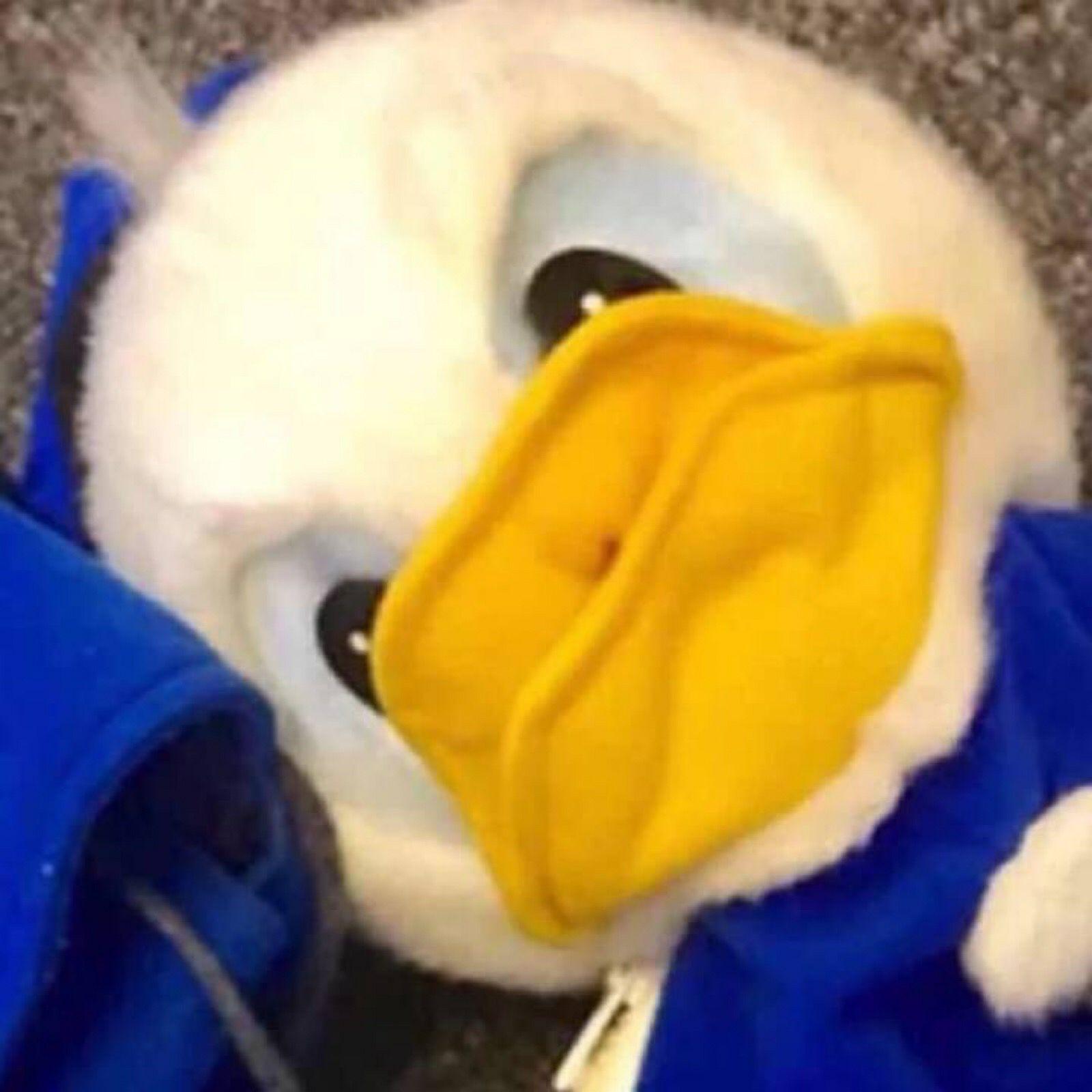 有哪些可爱又不失搞笑的头像?