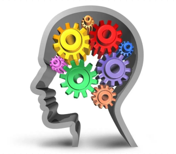 记忆在大脑中的位置