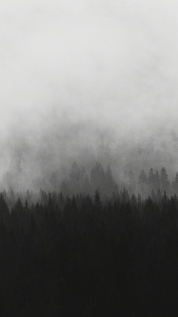 喜欢这种性冷淡风.