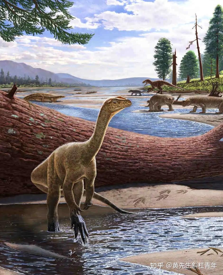 南非发现的恐龙新物种是世界上最大的恐龙吗?