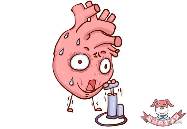 高血压认知2 高血压认知2