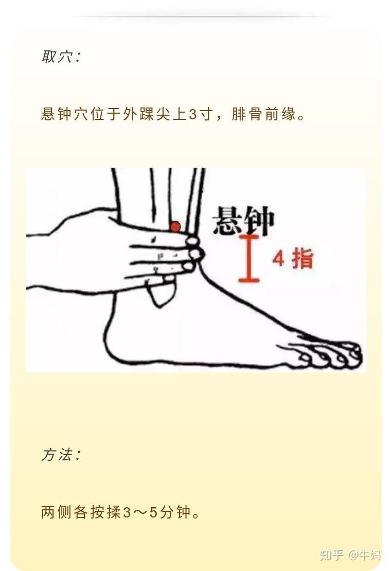 春季常按悬钟穴 让孩子变聪明、长高个儿 - 知乎