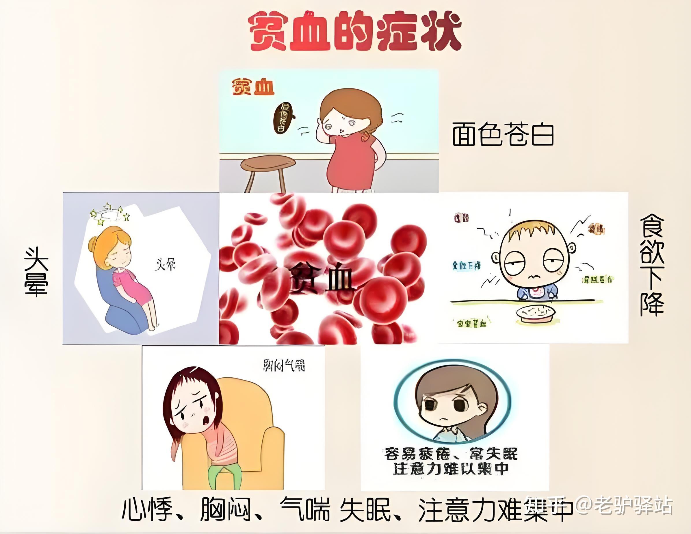 贫血为什么