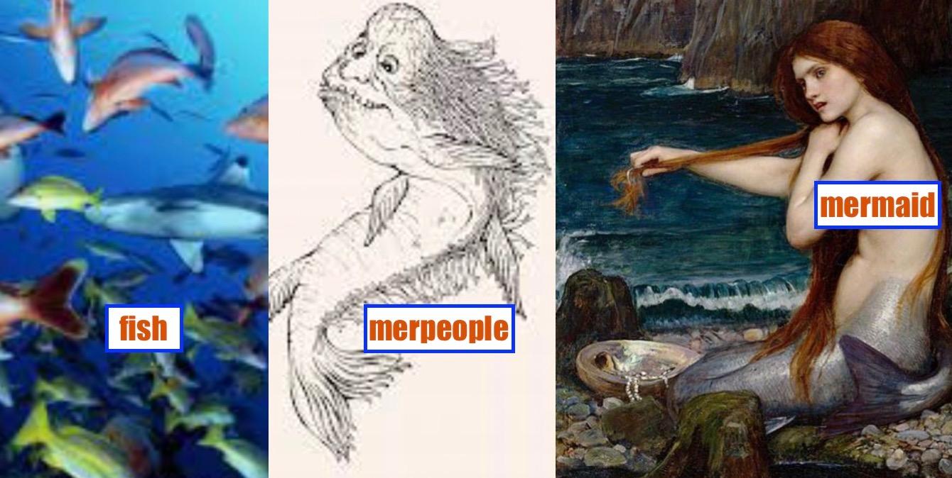 每天快乐一分钟英语 鱼 人鱼 美人鱼 知乎