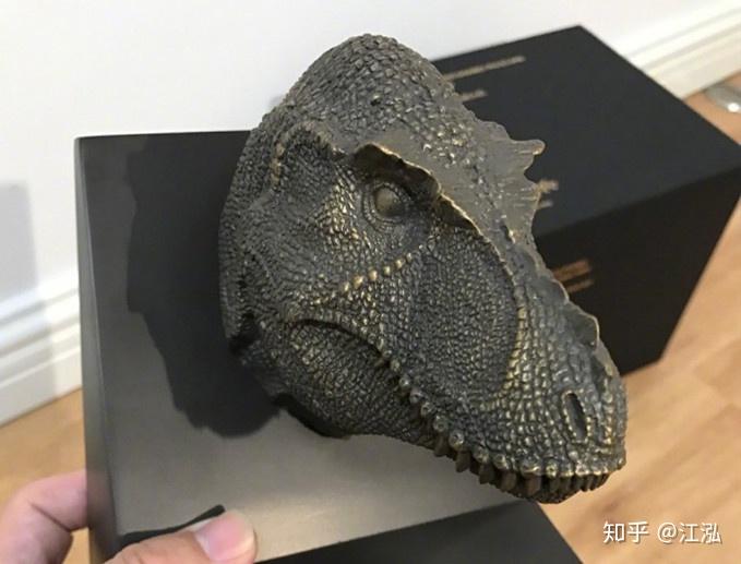 真正的霸王龙长什么样子? 9 v2 bc59c0bcfb1f5d058c64a8d3bf829456 720w