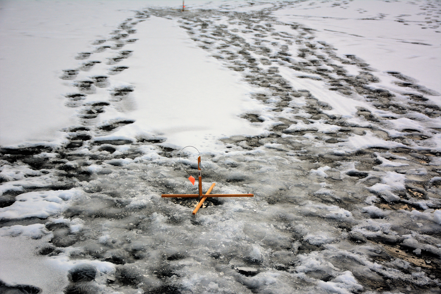 冬天的瓦尔登湖 - 知乎