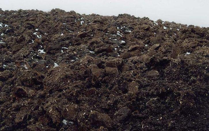 一波花卉:家庭养花常用的几种土壤