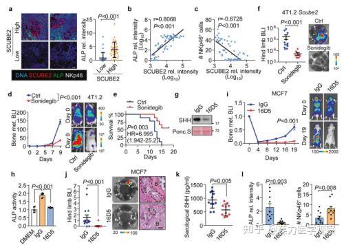 Cell Res