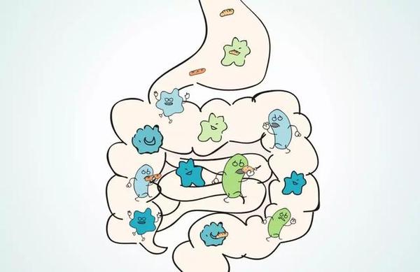 我也不想挑食啊你的肠道微生物想啊