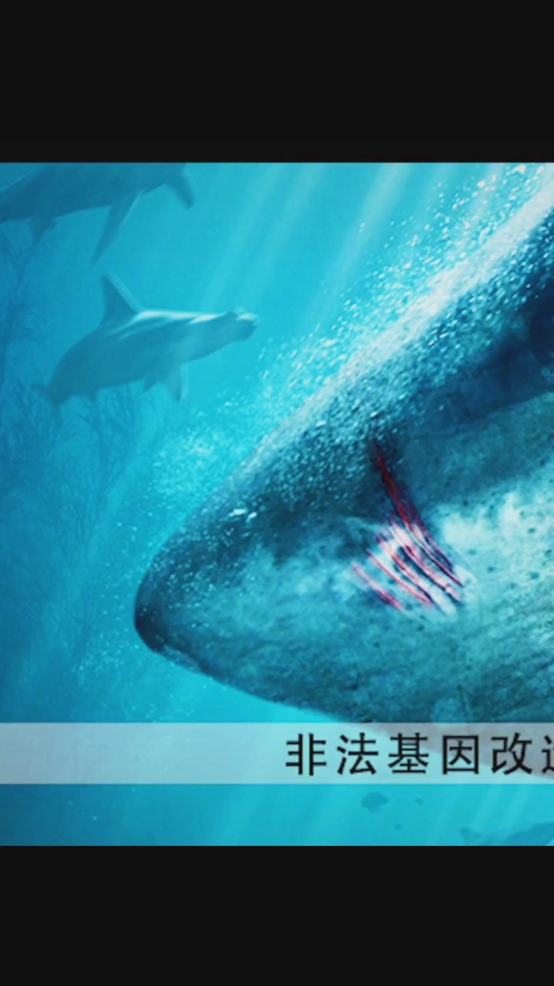 1080_1920竖版 竖屏