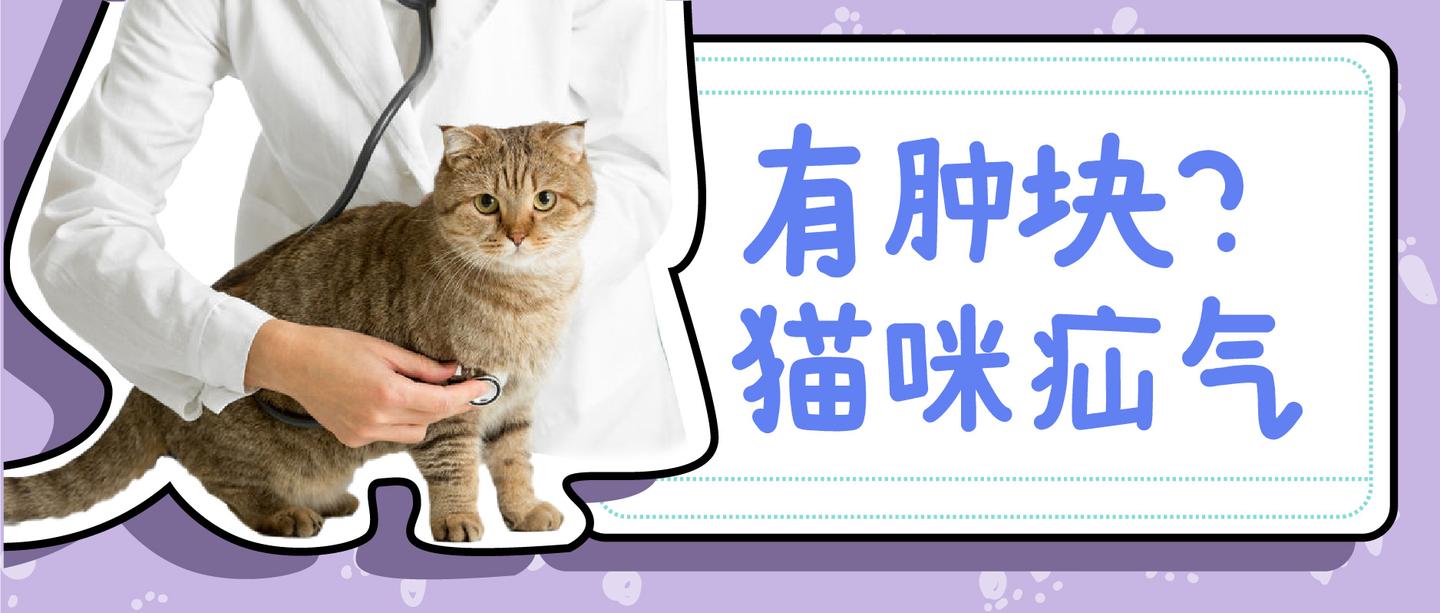 猫咪疝气是怎么引起的?别忽略了疝气早期症状