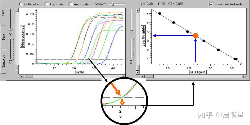 qPCR 数据分析 - 知乎