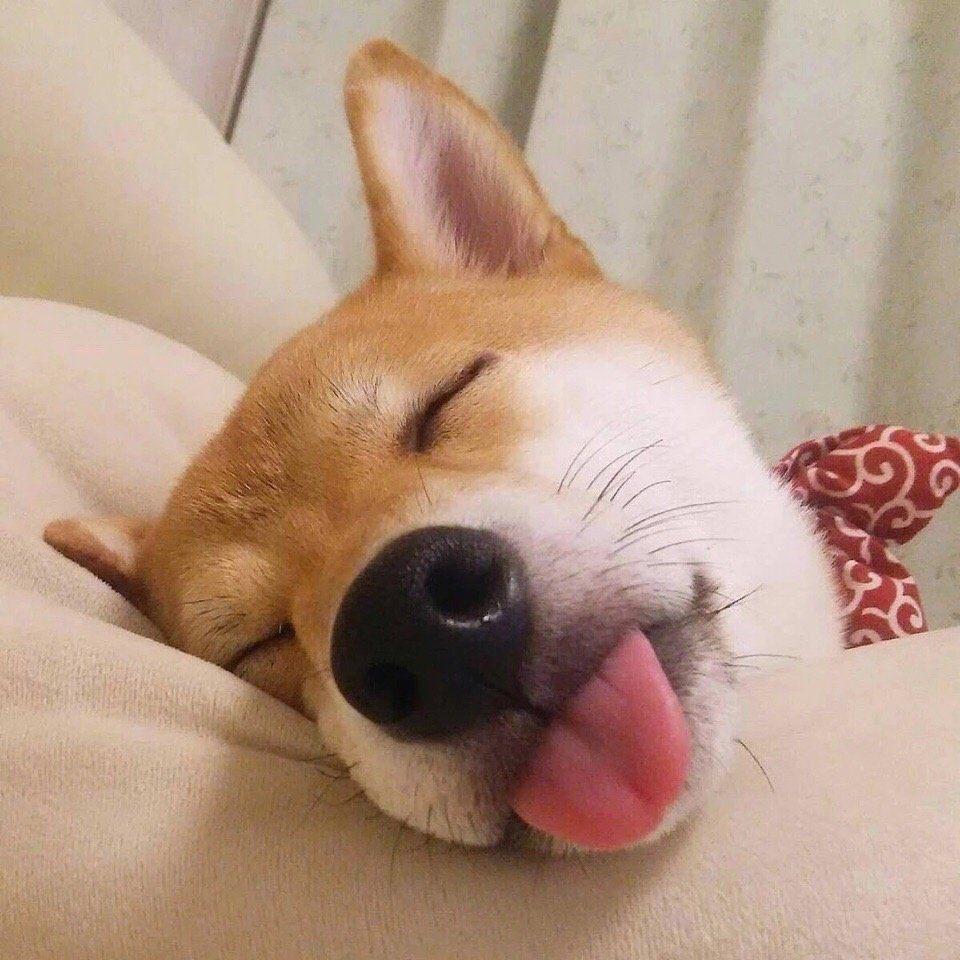 能推几个好看的男生头像吗? - 知乎