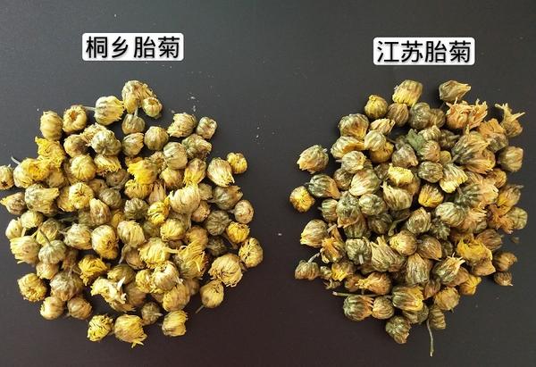 真正好的杭白菊在国内市场流通 优质的桐乡胎菊厂家货源批发价格不低于100元 斤 知乎