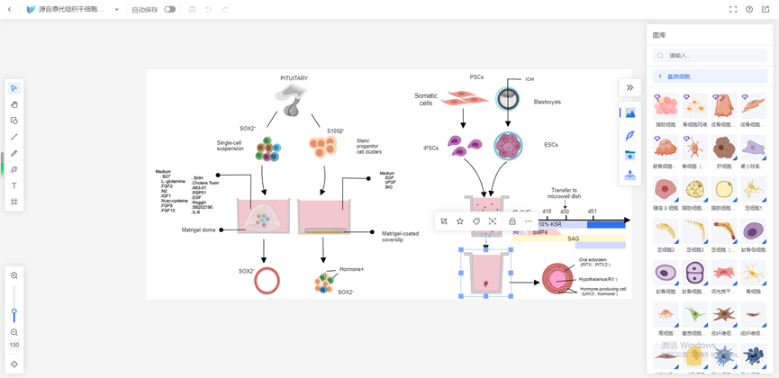 科研绘图常用的工具有哪些? - 知乎
