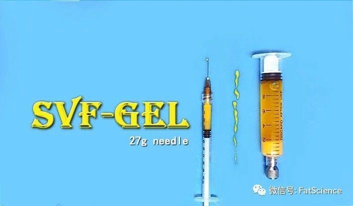 脂肪干细胞胶SVF-gel移植后是如何长出脂肪的？ - 知乎
