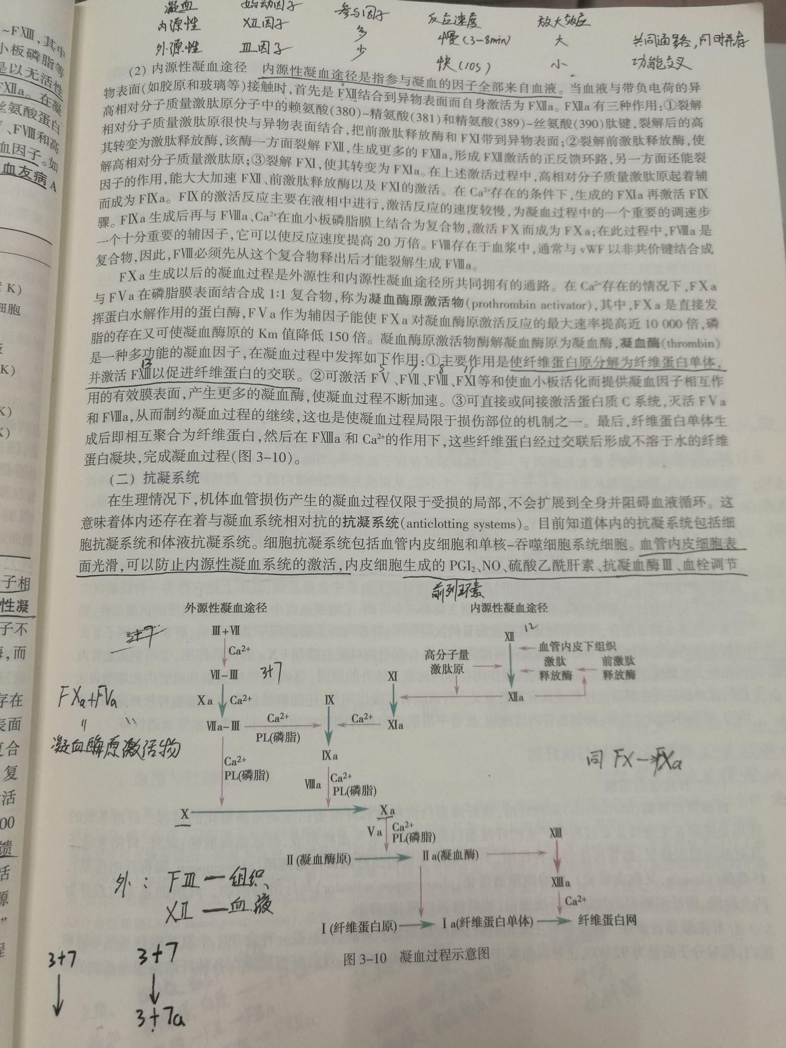 血液凝固的原理_图为血液凝固机理(2)