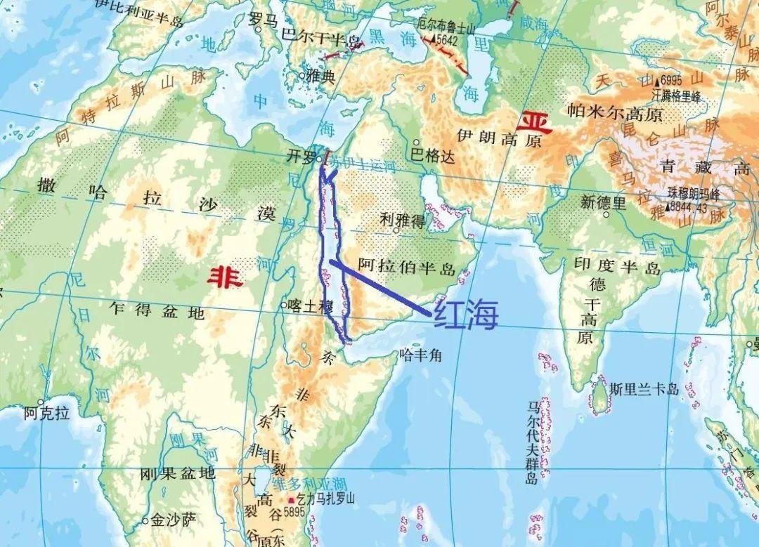 介绍一下地中海航运有哪些特殊航线与中国货运公司的联系等