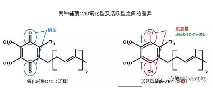 如何选择辅酶Q10产品?泛醇与泛醌的区别是什么? - 知乎